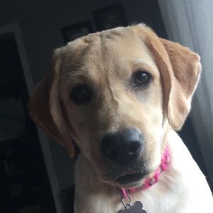 Meet your Posher, Tina